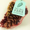 Pine Cone Fire Starter Bundle