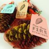 Pine Cone Fire Starters